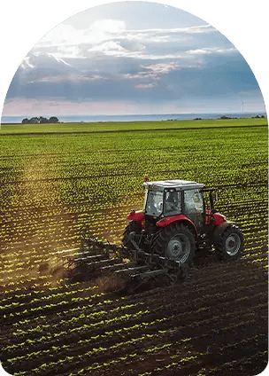 agriculture